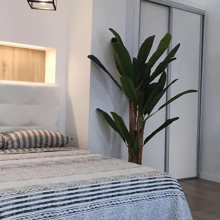 Estudio Diseno Cerca Ciudad Ciencias Vt-55211-v * 발렌시아